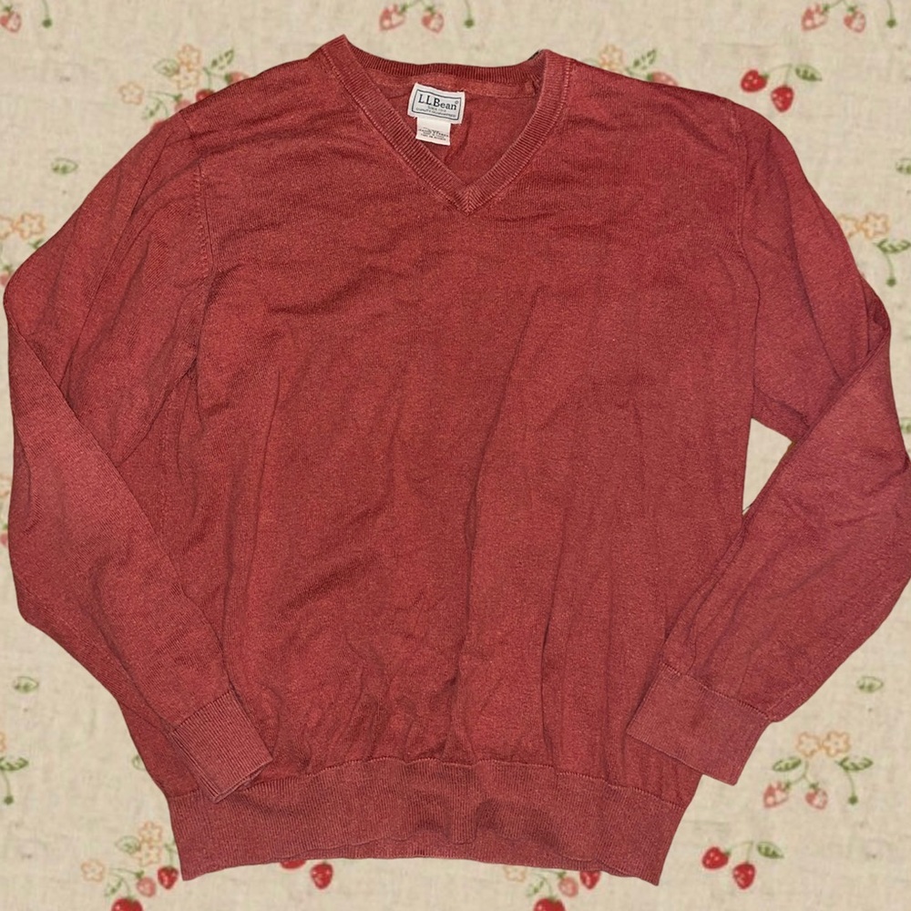 burnt orange L.L Bean sweater ⚡️⚡️